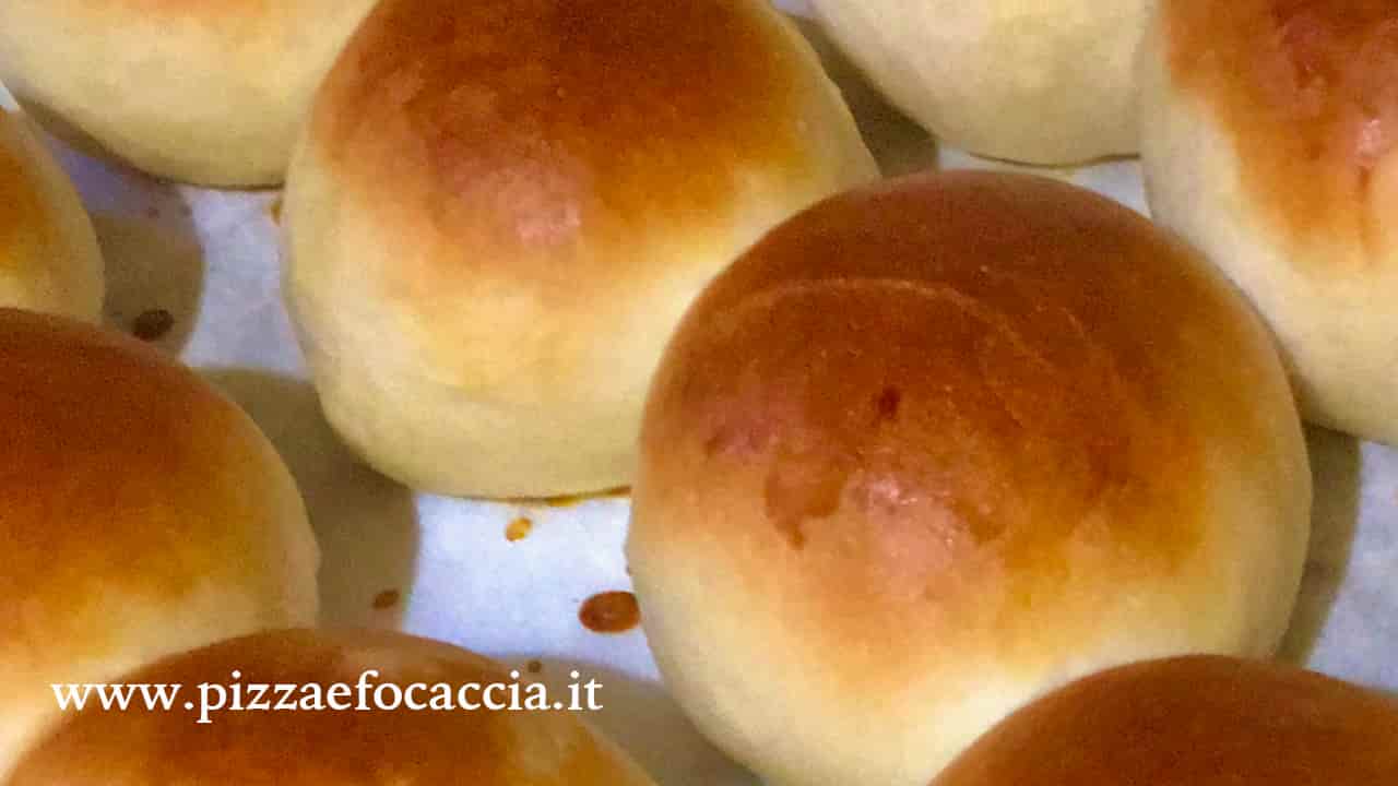 ricetta panini al latte