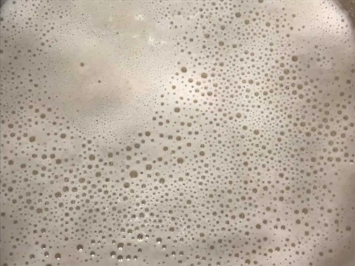Li.co.li. o Licoli Lievito madre liquido 1 licoli- li co li