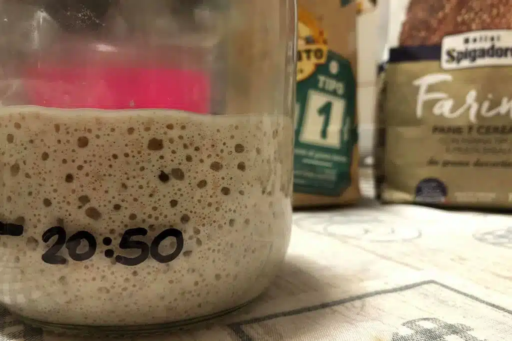 Li.co.li. o Licoli Lievito madre liquido 2 licoli licoli alta idratazione