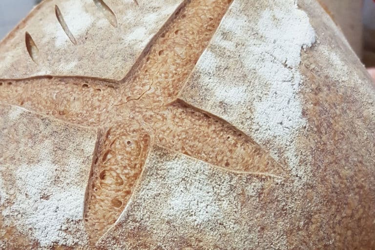 ricetta pane casereccio fatto in casa