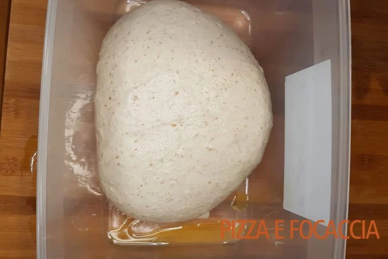 pizza-bonci-contenitore pizza-bonci-contenitore