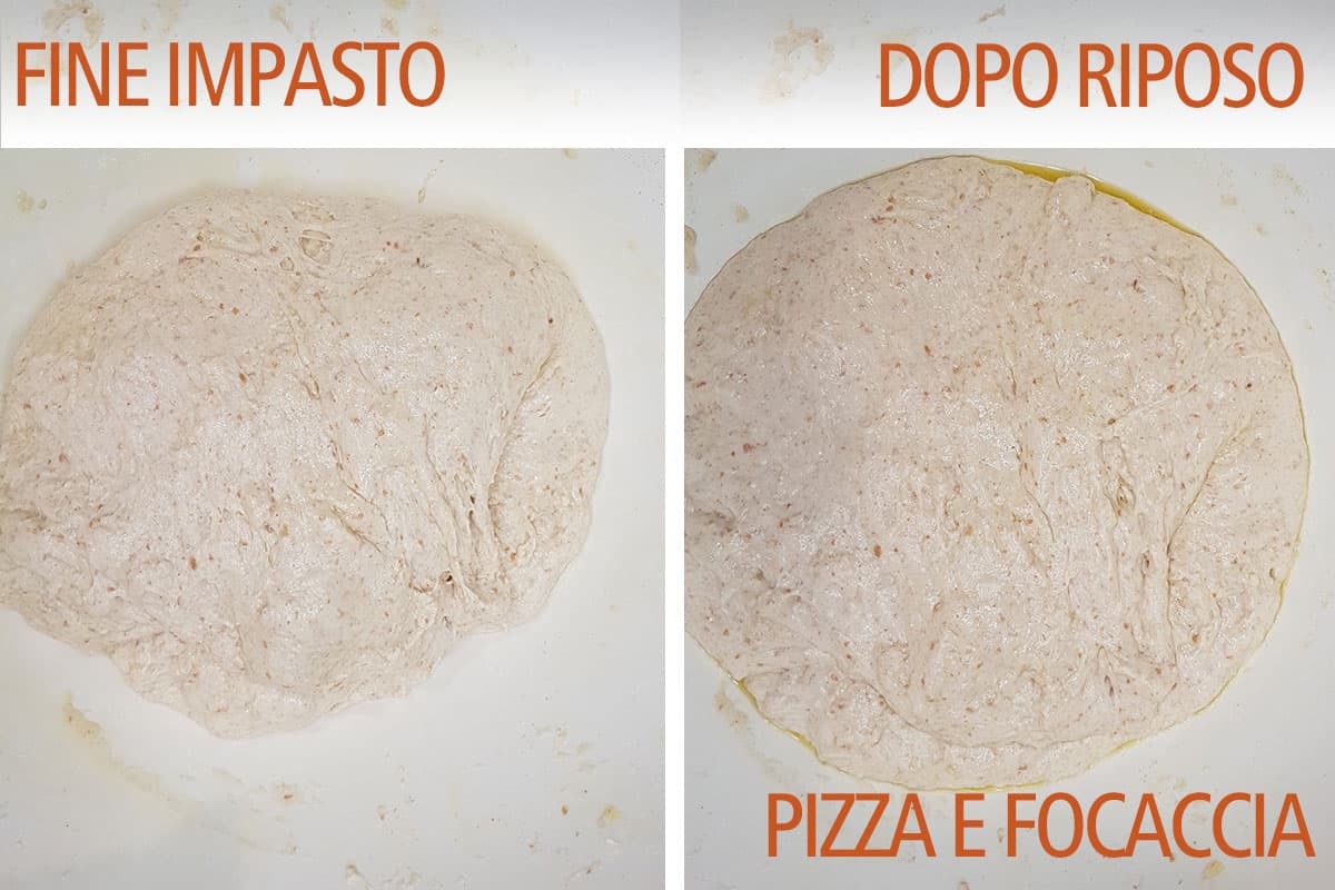 Pizza Bonci, impasto per pizza 24 ore lievitazione PizzaeFocaccia.it