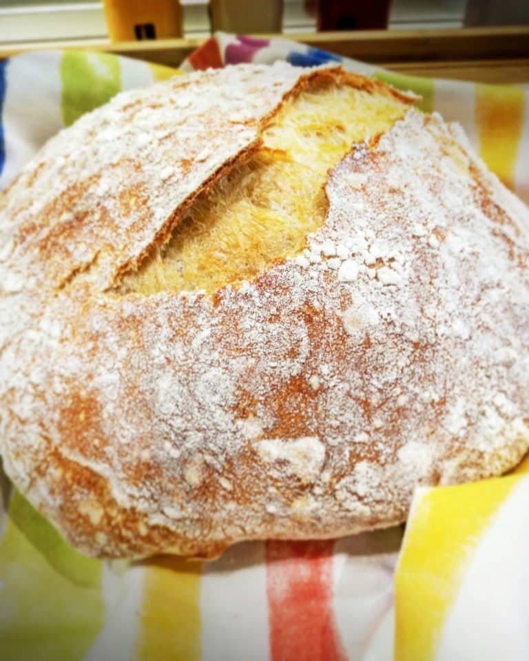 pane comodo 36 scaled 1