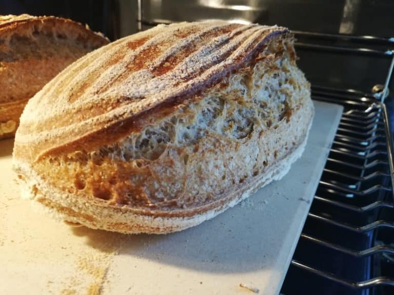 pane con lievito madre 1