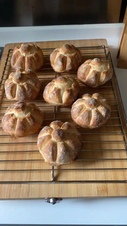 Ricetta Rosette con Biga