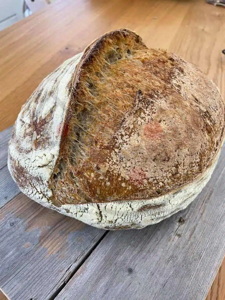 Ricetta pane Fatto in casa 1 Pane Fatto In Casa 2