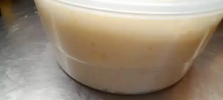 24 Maritozzi Ricetta