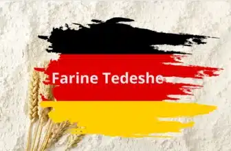 TIPI DI FARINE TEDESCHE
