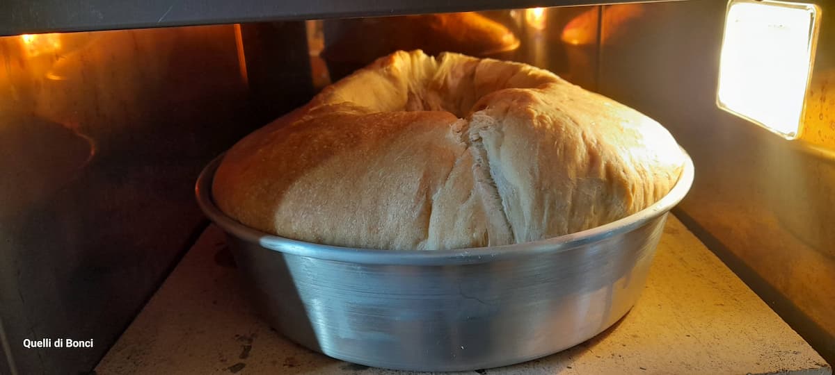 Ricetta Tortano Napoletano, ingredienti e preparazione tradizionale 2 ricetta tortano napoletano
