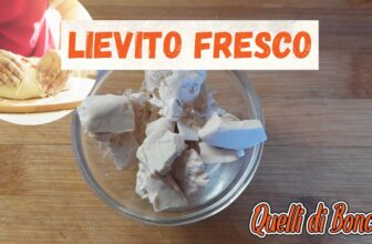 rinfresco lievito fresco