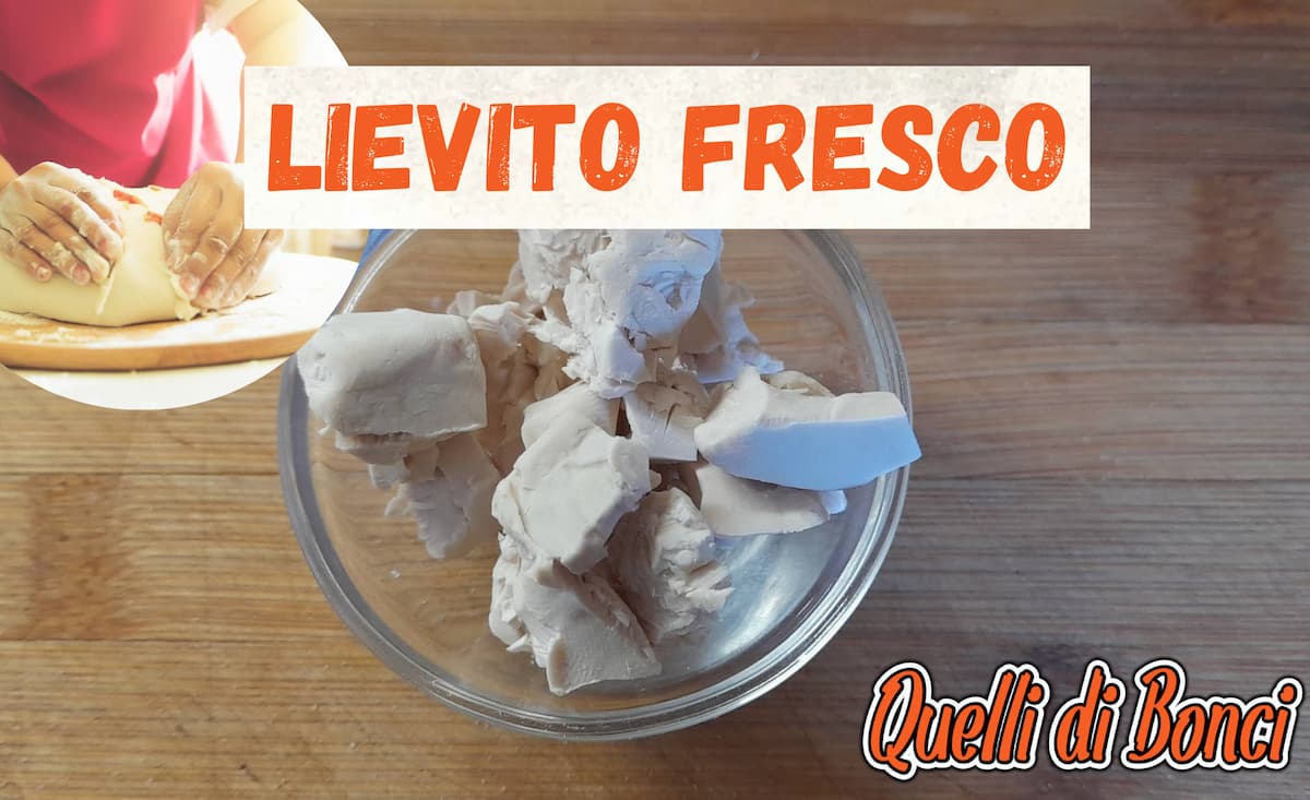 Complete Guide to Fresh Yeast: Uses, Storage, and Differences from Dry Yeast 1 rinfresco lievito fresco