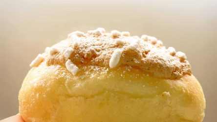 Pizza e focaccia Home 26 Buondi – Ricetta Buondì fatti in casa, con lievito di birra o madre