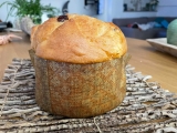 Ricetta Panettone Fatto in casa