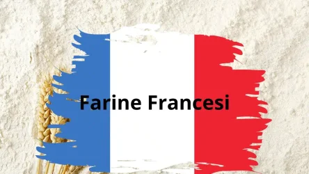 Pizza e focaccia Home 33 Tipi di farine francesi più comuni