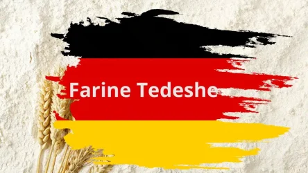 Tipi di farine tedesche più comuni
