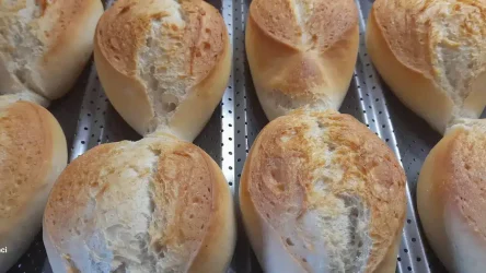 Pizza e focaccia Home 16 Come preparare una Ciriola Romana con il metodo Giorilli