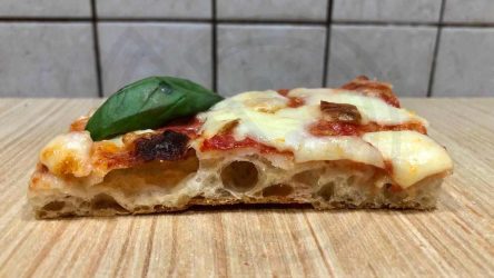Pizza e focaccia Home - English 6 Impasto NO KNEAD, Pizza in teglia