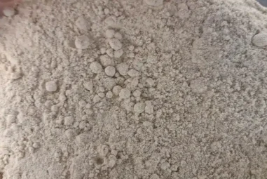 Scopri il Segreto della Panificazione Perfetta con il Malto Diastasico: Guida e Consigli Pratici