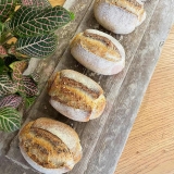 Ricetta Panini con LiCoLi – Lievito Madre
