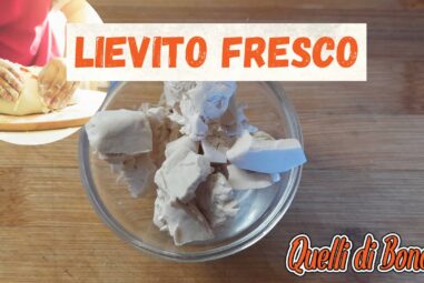 Guida completa sul lievito fresco, usi conservazione e differenze con il lievito secco