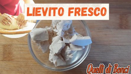 Pizza e focaccia Home - English 33 Guida completa sul lievito fresco, usi conservazione e differenze con il lievito secco